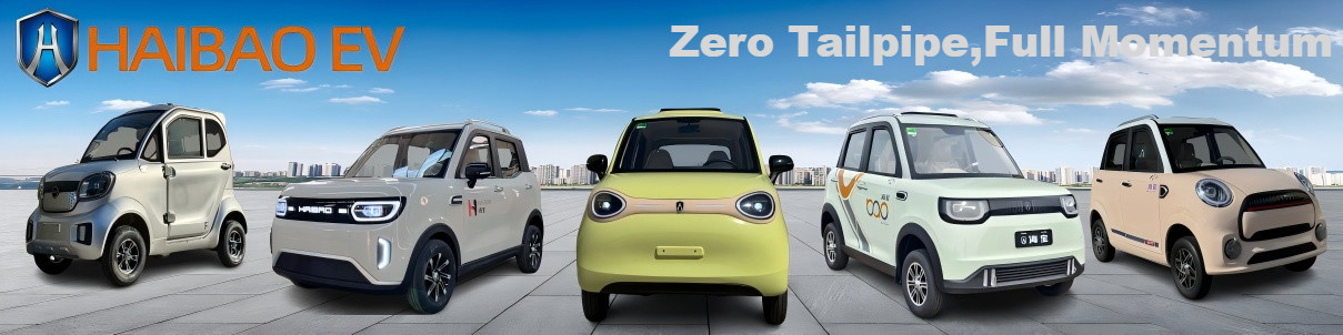 Electric Tricycle Truck