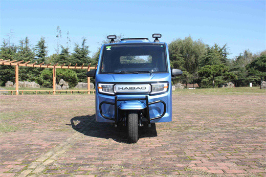 Weika 300 Transport Electric Pick Up Truck Electric Tricycle Car Passenger