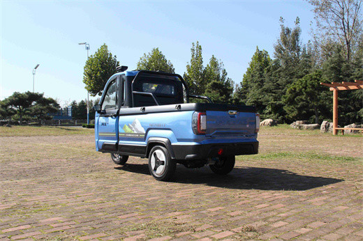 Weika 300 Transport Electric Pick Up Truck Electric Tricycle Car Passenger