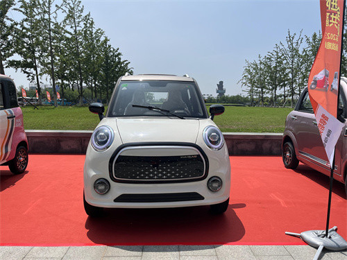 Ling Dong 60V 3000W Four Wheeler Electric Car Convenient Electric Passenger Caravan