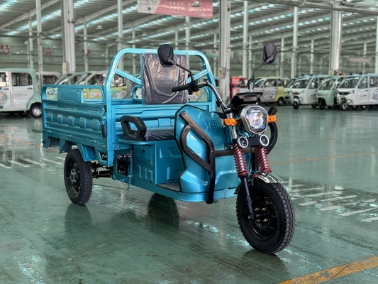Feng shen150-2 1000WD Cargo Tricycle Rated load 200kg