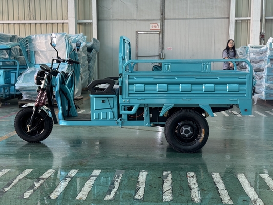 Feng shen150-2 1000WD Cargo Tricycle Rated load 200kg
