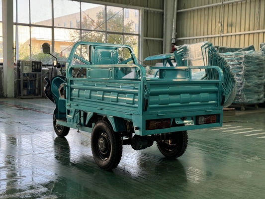 Feng shen150-2 1000WD Cargo Tricycle Rated load 200kg