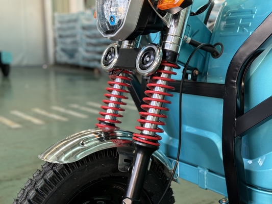 Feng shen150-2 1000WD Cargo Tricycle Rated load 200kg