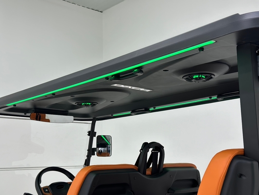 F12-4	6300W	4-Seater Golf Cart