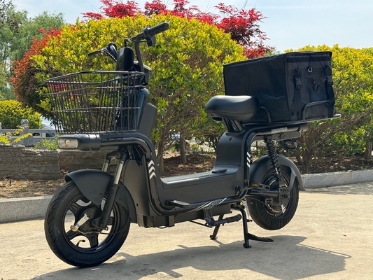 JINNIU-2   650W New Two-Wheeled Electric Vehicle