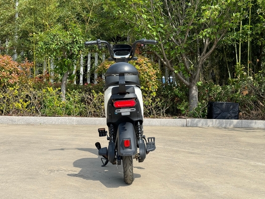 L1-D  350W new two-wheeled electric vehicle