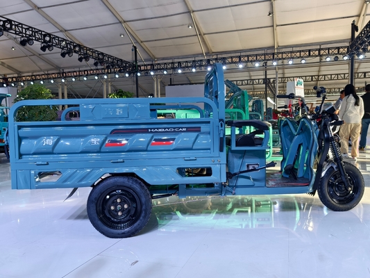 F160 1500WD  Super Strong Load-Bearing Capacity Cargo Tricycle