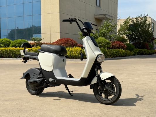 L1-D 350W Electric Two-Wheeler