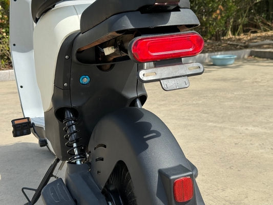 L1-D 350W Electric Two-Wheeler