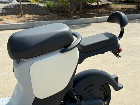 L1-D 350W Electric Two-Wheeler