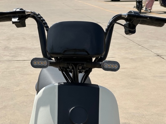 L1-D 350W Electric Two-Wheeler