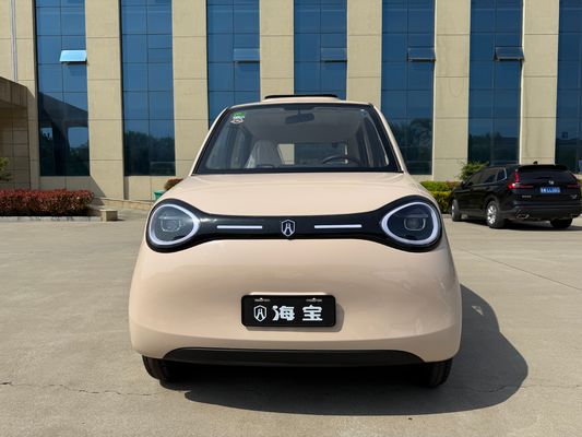 Linglong 3000WD/5000WD New Five-Door Four-Seat Four-Wheeled Electric Vehicle