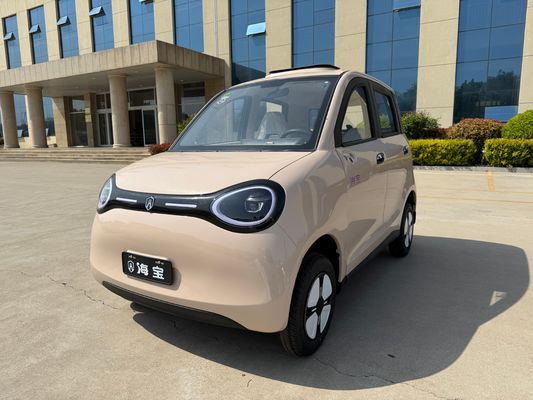 Linglong 3000WD/5000WD New Five-Door Four-Seat Four-Wheeled Electric Vehicle