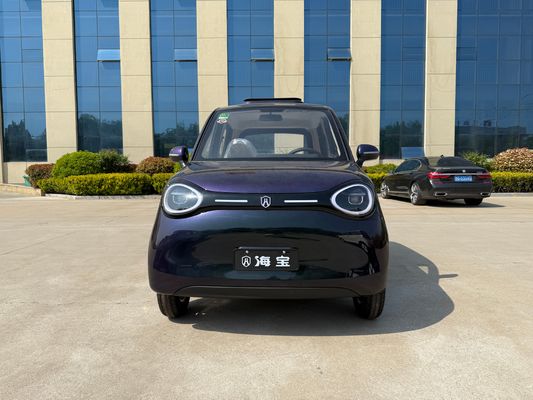 Linglong 3000WD/5000WD New five-door four-seat four-wheeled electric vehicle