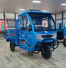 1500W Open Electric Cargo Trike Electric Cargo Motorcycle