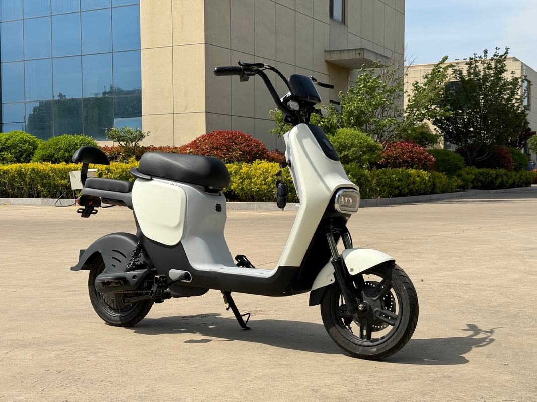 L1-D 350W Electric Two-Wheeler